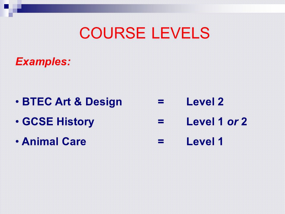 COURSE LEVELS Examples: BTEC Art & Design = Level 2 GCSE History = Level 1 or 2 Animal Care = Level 1