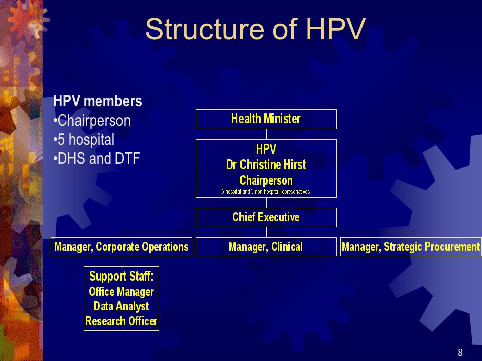 8 Structure of HPV HPV members Chairperson 5 hospital DHS and DTF