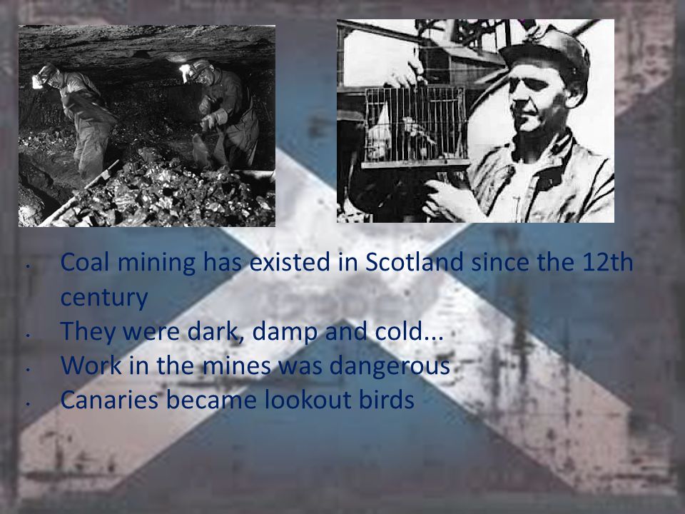 Coal mining has existed in Scotland since the 12th century They were dark, damp and cold...