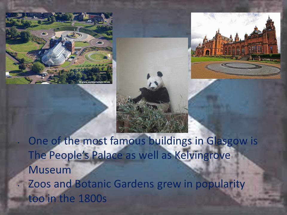 One of the most famous buildings in Glasgow is The People’s Palace as well as Kelvingrove Museum Zoos and Botanic Gardens grew in popularity too in the 1800s