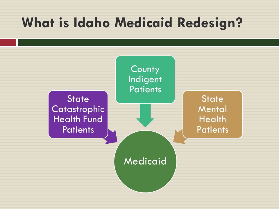 What is Idaho Medicaid Redesign.