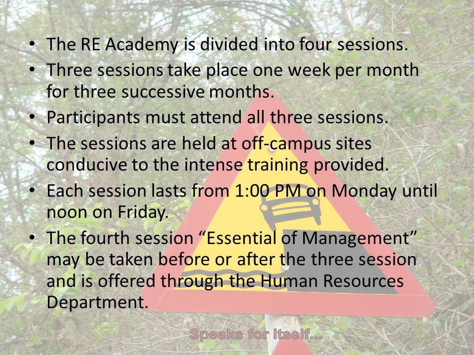 The RE Academy is divided into four sessions.