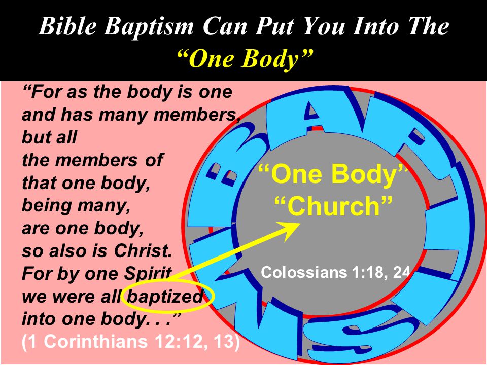 10 Bible Baptism Can Put You Into The One Body One Body Church Colossians 1:18, 24 For as the body is one and has many members, but all the members of that one body, being many, are one body, so also is Christ.