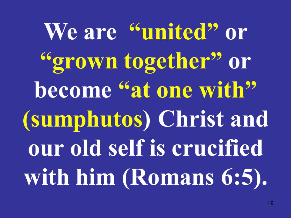 19 We are united or grown together or become at one with (sumphutos) Christ and our old self is crucified with him (Romans 6:5).