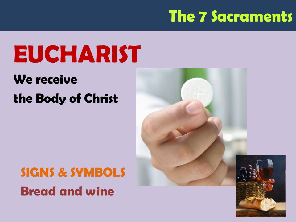 The 7 Sacraments EUCHARIST We receive the Body of Christ SIGNS & SYMBOLS Bread and wine