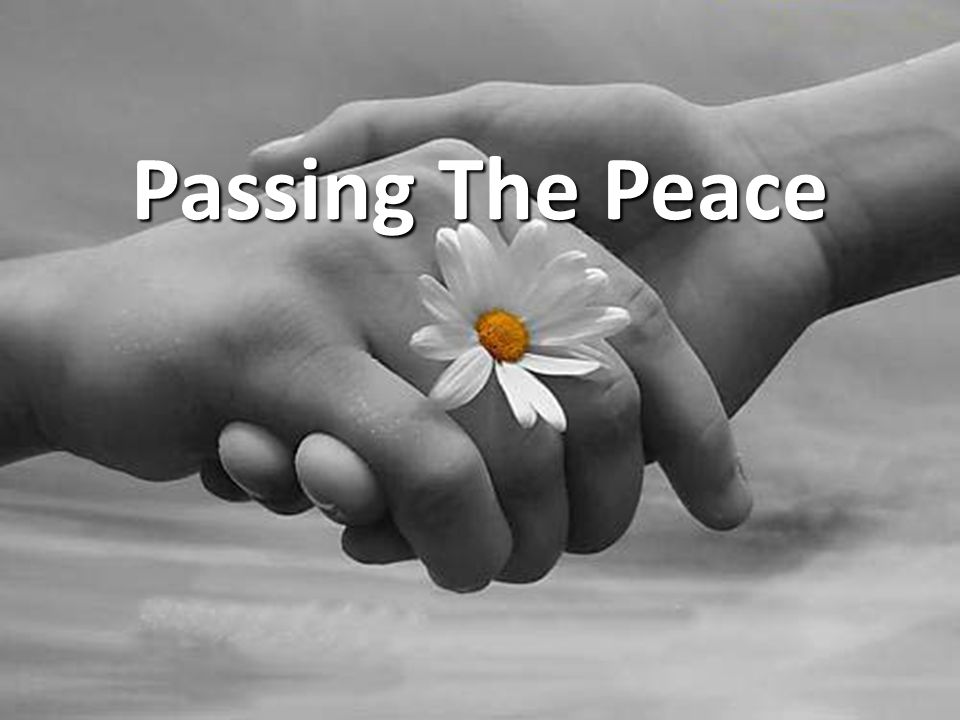 Passing The Peace