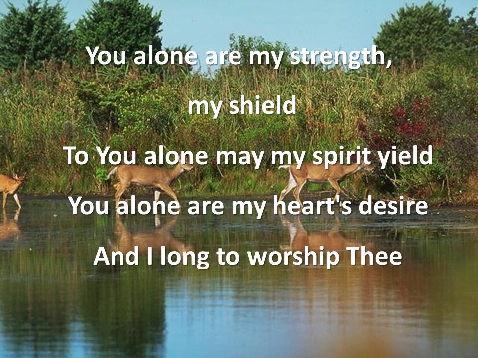 You alone are my strength, my shield To You alone may my spirit yield You alone are my heart s desire And I long to worship Thee my shield To You alone may my spirit yield You alone are my heart s desire And I long to worship Thee