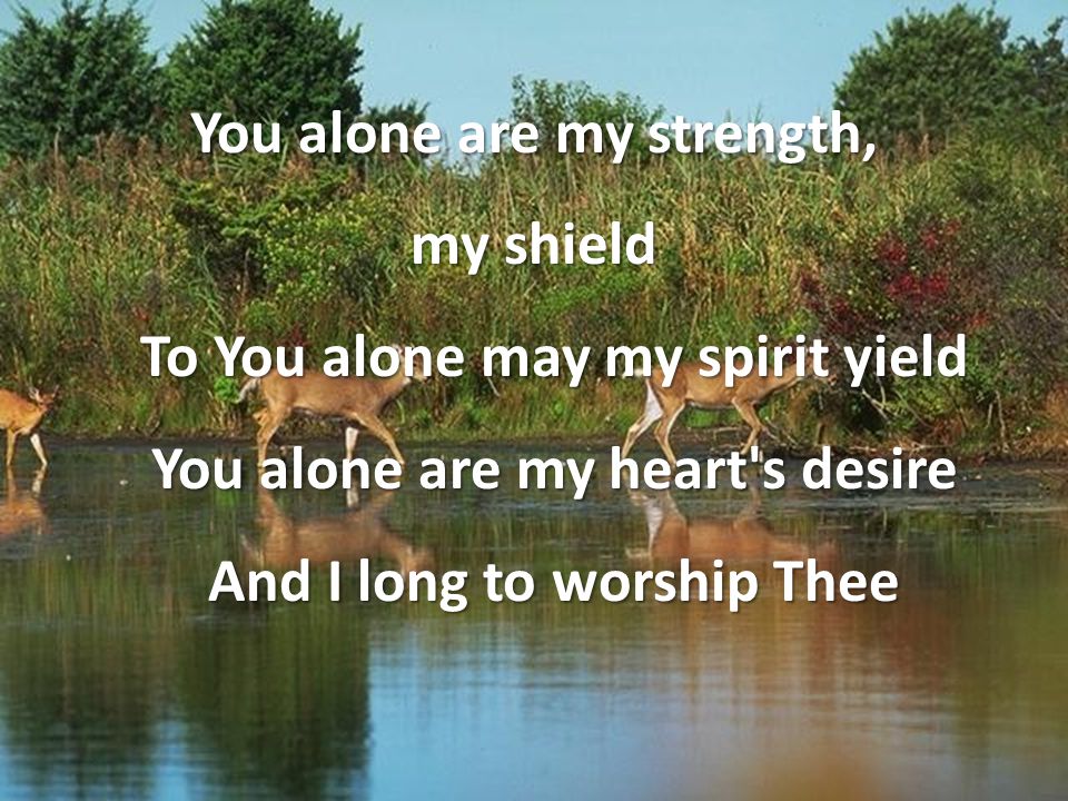 You alone are my strength, my shield To You alone may my spirit yield You alone are my heart s desire And I long to worship Thee