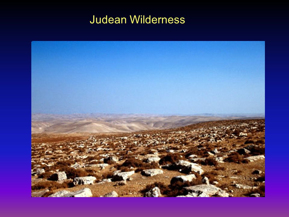 Judean Wilderness