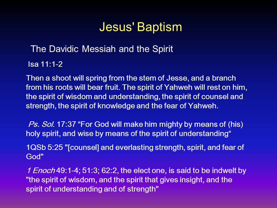 Jesus Baptism Isa 11:1-2 Then a shoot will spring from the stem of Jesse, and a branch from his roots will bear fruit.