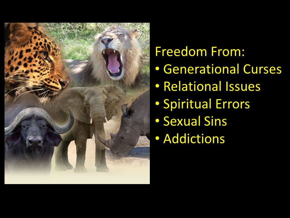 Freedom From: Generational Curses Relational Issues Spiritual Errors Sexual Sins Addictions