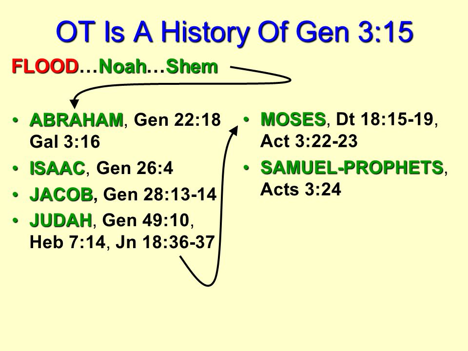 ABRAHAMABRAHAM, Gen 22:18 Gal 3:16 ISAACISAAC, Gen 26:4 JACOBJACOB, Gen 28:13-14 JUDAHJUDAH, Gen 49:10, Heb 7:14, Jn 18:36-37 MOSESMOSES, Dt 18:15-19, Act 3:22-23 SAMUEL-PROPHETSSAMUEL-PROPHETS, Acts 3:24 OT Is A History Of Gen 3:15 FLOODNoahShem FLOOD…Noah…Shem
