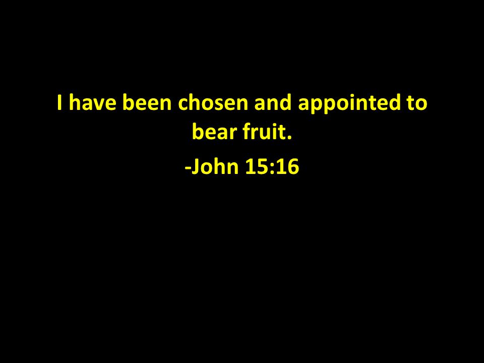 I have been chosen and appointed to bear fruit. -John 15:16