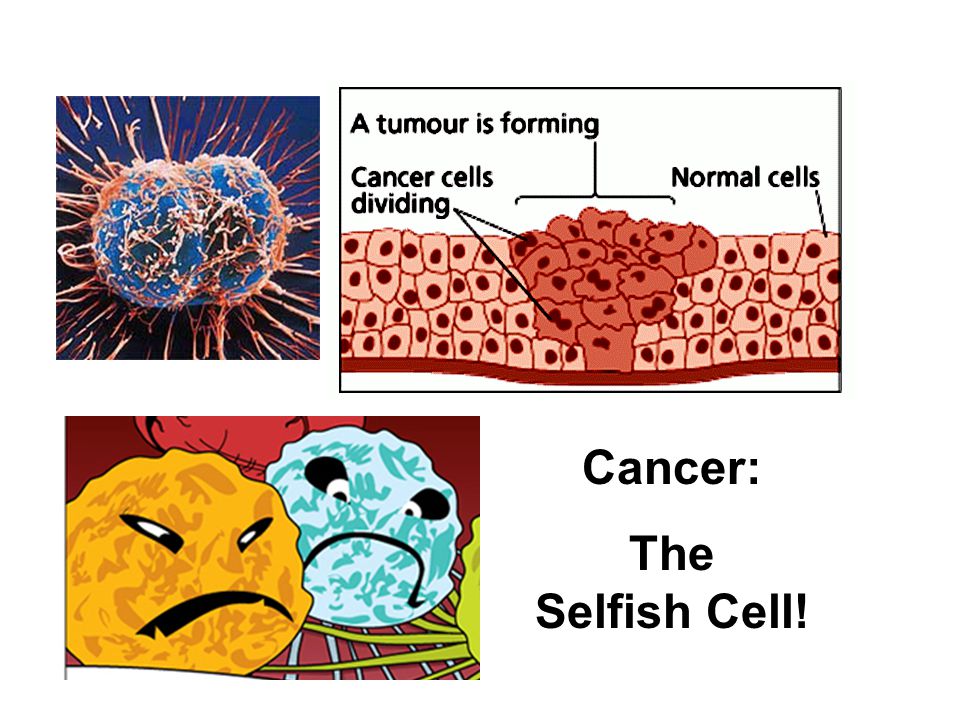 Cancer: The Selfish Cell!