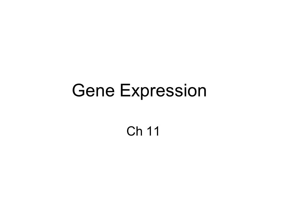 Gene Expression Ch 11