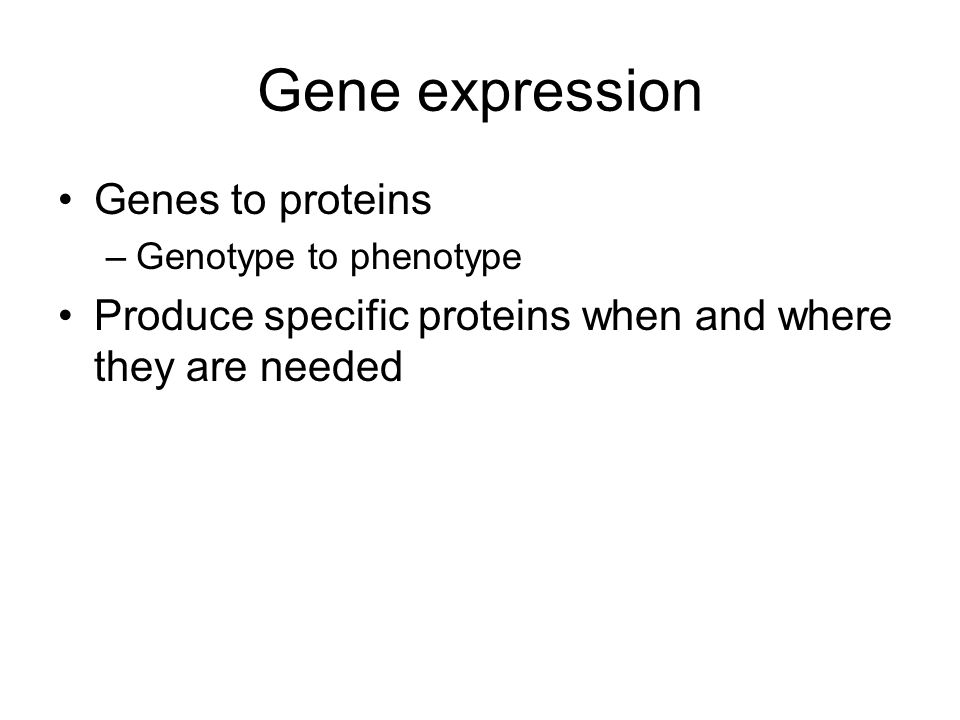 Gene expression Genes to proteins –Genotype to phenotype Produce specific proteins when and where they are needed