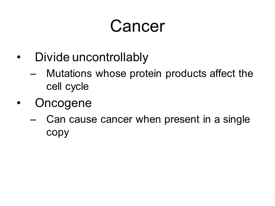 Cancer Divide uncontrollably –Mutations whose protein products affect the cell cycle Oncogene –Can cause cancer when present in a single copy