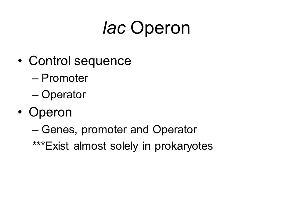 lac Operon Control sequence –Promoter –Operator Operon –Genes, promoter and Operator ***Exist almost solely in prokaryotes