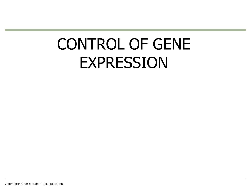 CONTROL OF GENE EXPRESSION Copyright © 2009 Pearson Education, Inc.
