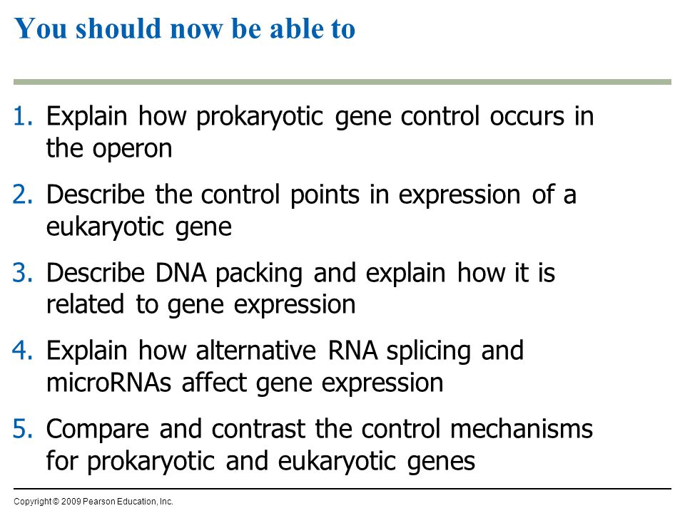 1.Explain how prokaryotic gene control occurs in the operon 2.Describe the control points in expression of a eukaryotic gene 3.Describe DNA packing and explain how it is related to gene expression 4.Explain how alternative RNA splicing and microRNAs affect gene expression 5.Compare and contrast the control mechanisms for prokaryotic and eukaryotic genes You should now be able to Copyright © 2009 Pearson Education, Inc.