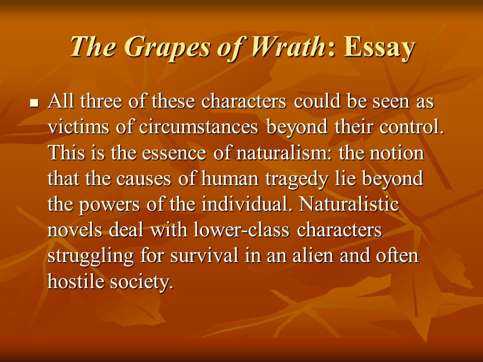 The Isms Influences On John Steinbeck And His Writing Ppt Download The Grapes Of Wrath Essay All Three Of These Characters Could Be Seen As Victims Example Of A Essay Paper also Need Help Creating A Business Plan Best Web Content Writing Services