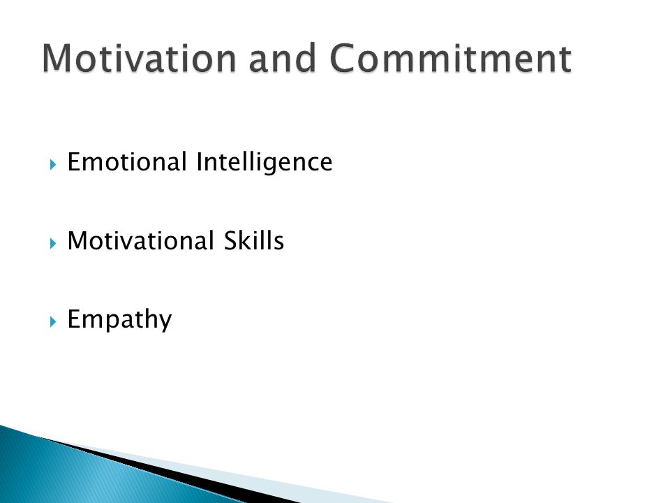  Emotional Intelligence  Motivational Skills  Empathy