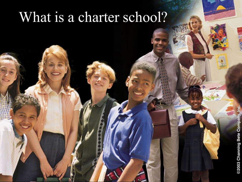What is a charter school