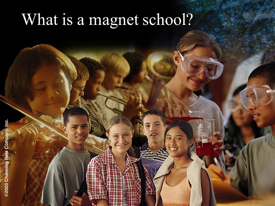 What is a magnet school