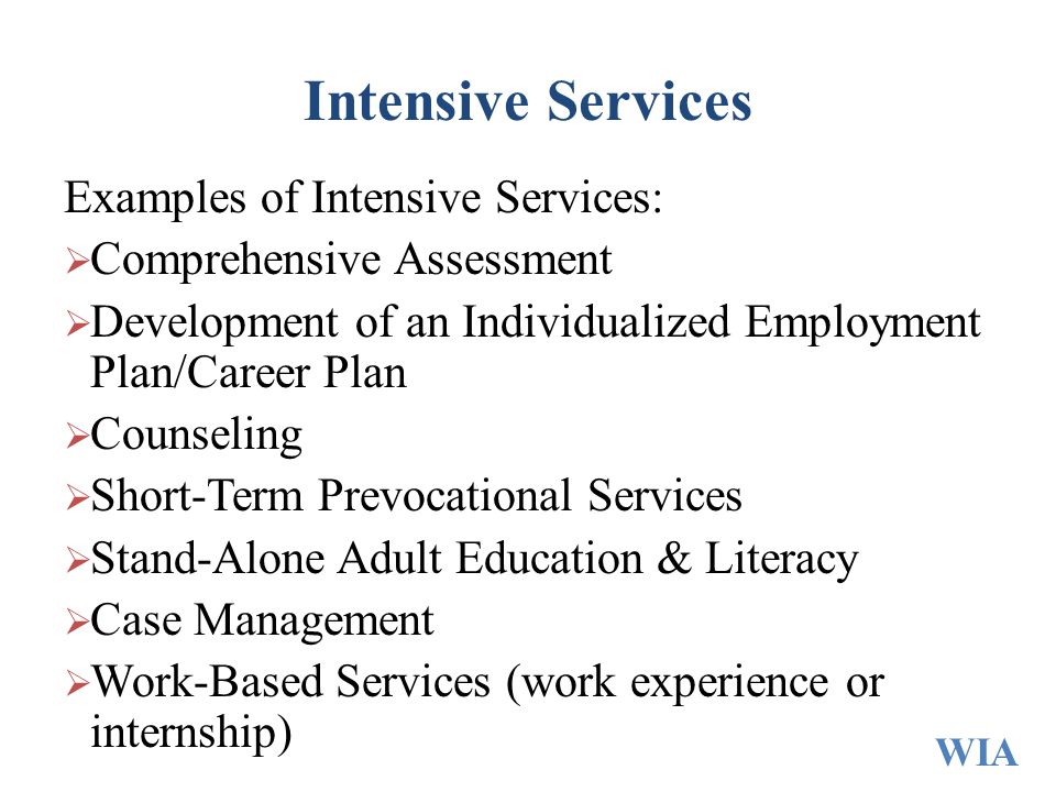 Intensive Services Examples of Intensive Services:  Comprehensive Assessment  Development of an Individualized Employment Plan/Career Plan  Counseling  Short-Term Prevocational Services  Stand-Alone Adult Education & Literacy  Case Management  Work-Based Services (work experience or internship) WIA