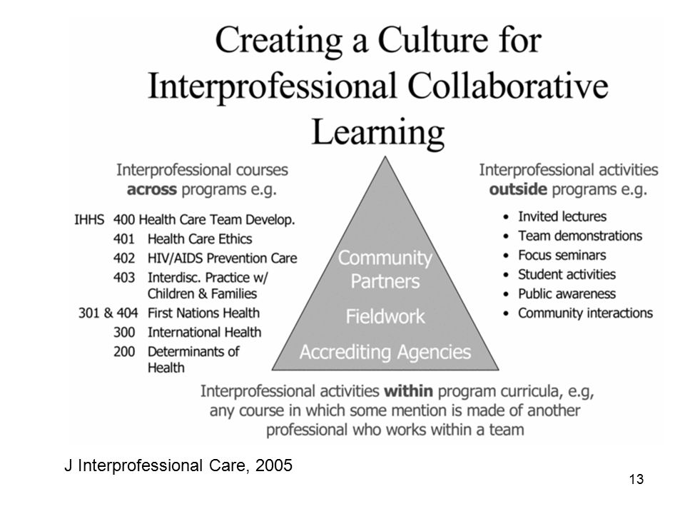 13 J Interprofessional Care, 2005
