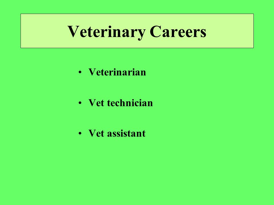 Veterinary Careers Veterinarian Vet technician Vet assistant