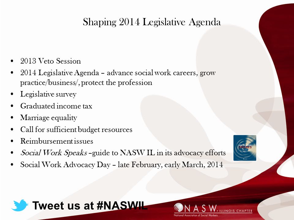 Shaping 2014 Legislative Agenda 2013 Veto Session 2014 Legislative Agenda – advance social work careers, grow practice/business/, protect the profession Legislative survey Graduated income tax Marriage equality Call for sufficient budget resources Reimbursement issues Social Work Speaks –guide to NASW IL in its advocacy efforts Social Work Advocacy Day – late February, early March, 2014 Tweet us at #NASWIL