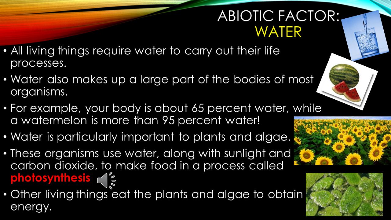 ABIOTIC FACTORS The nonliving parts of an ecosystem are called abiotic factors.