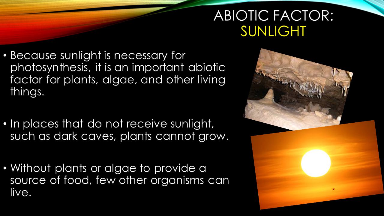 ABIOTIC FACTOR: WATER All living things require water to carry out their life processes.