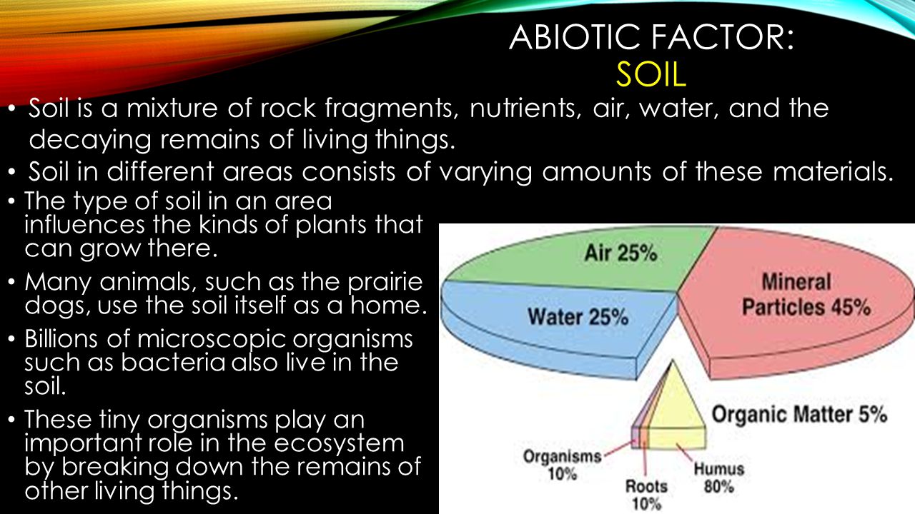 ABIOTIC FACTOR: TEMPERATURE The temperatures that are typical of an area determine the types of organisms that can live there.