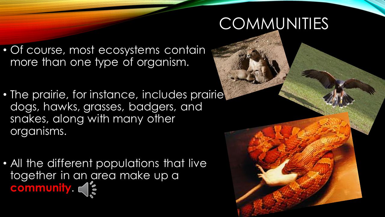 POPULATIONS The area in which a population lives can be as small as a single blade of grass or as large as the whole planet.