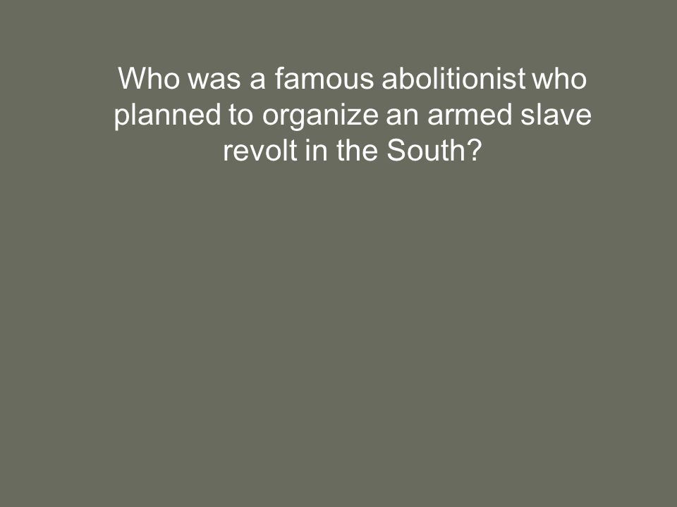 Who was a famous abolitionist who planned to organize an armed slave revolt in the South