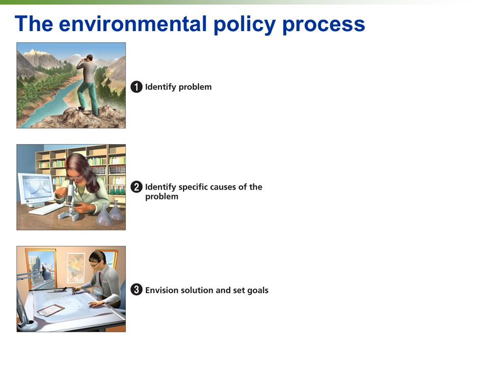 The environmental policy process