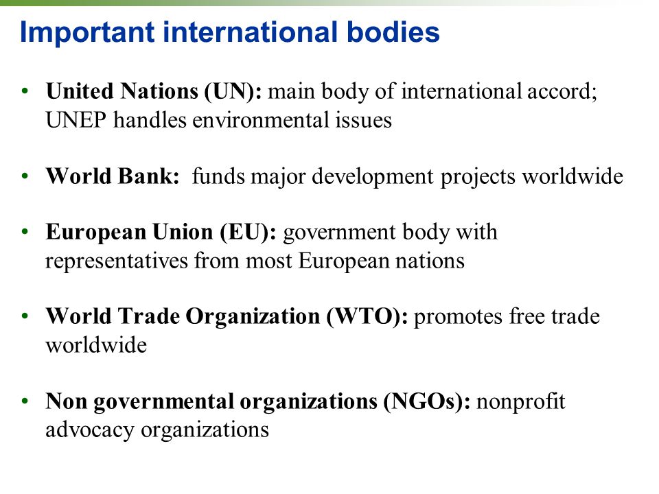 Important international bodies United Nations (UN): main body of international accord; UNEP handles environmental issues World Bank: funds major development projects worldwide European Union (EU): government body with representatives from most European nations World Trade Organization (WTO): promotes free trade worldwide Non governmental organizations (NGOs): nonprofit advocacy organizations