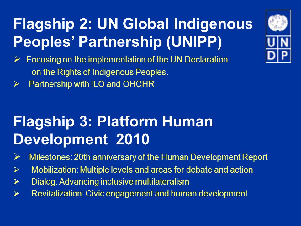 Flagship 2: UN Global Indigenous Peoples’ Partnership (UNIPP)  Focusing on the implementation of the UN Declaration on the Rights of Indigenous Peoples.
