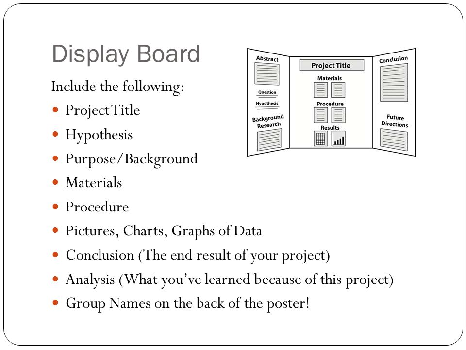 Display Board Include the following: Project Title Hypothesis Purpose/Background Materials Procedure Pictures, Charts, Graphs of Data Conclusion (The end result of your project) Analysis (What you’ve learned because of this project) Group Names on the back of the poster!
