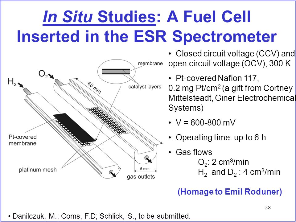 28 In Situ Studies: A Fuel Cell Inserted in the ESR Spectrometer Closed circuit voltage (CCV) and open circuit voltage (OCV), 300 K Pt-covered Nafion 117, 0.2 mg Pt/cm 2 (a gift from Cortney Mittelsteadt, Giner Electrochemical Systems) V = mV Operating time: up to 6 h Gas flows O 2 : 2 cm 3 /min H 2 and D 2 : 4 cm 3 /min (Homage to Emil Roduner) Danilczuk, M.; Coms, F.D; Schlick, S., to be submitted.