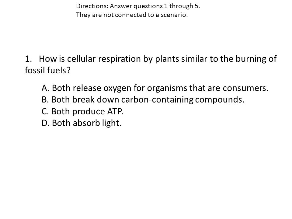 Example Biology EOC Questions 1 How Is Cellular