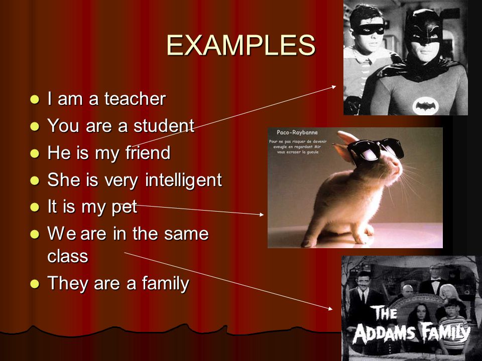 EXAMPLES I am a teacher I am a teacher You are a student You are a student He is my friend He is my friend She is very intelligent She is very intelligent It is my pet It is my pet We are in the same class We are in the same class They are a family They are a family