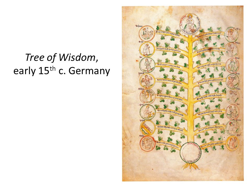 Tree of Wisdom, early 15 th c. Germany