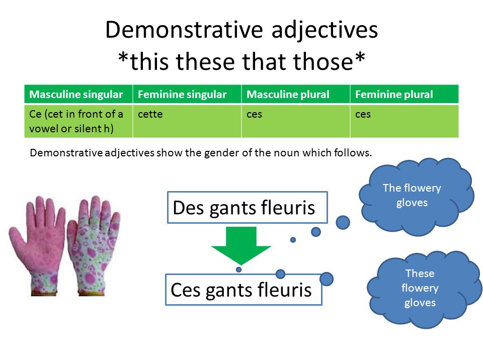 Demonstrative adjectives *this these that those* Masculine singularFeminine singularMasculine pluralFeminine plural Ce (cet in front of a vowel or silent h) cetteces Demonstrative adjectives show the gender of the noun which follows.