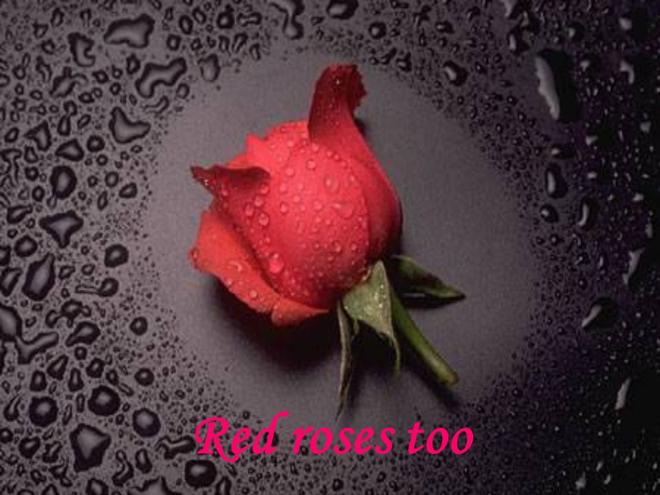 Louis Armstrong I see trees of green Red roses too. - ppt download