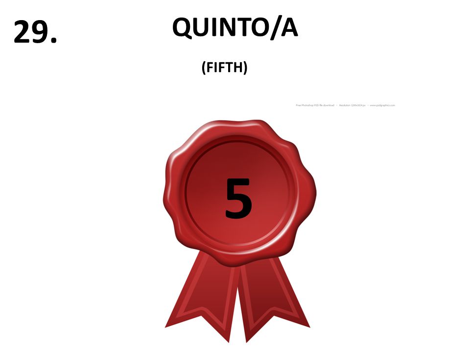 QUINTO/A 29. (FIFTH) 5