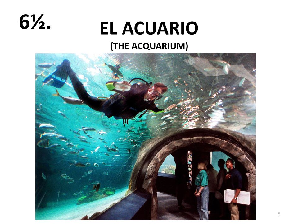 EL ACUARIO 8 6½. (THE ACQUARIUM)