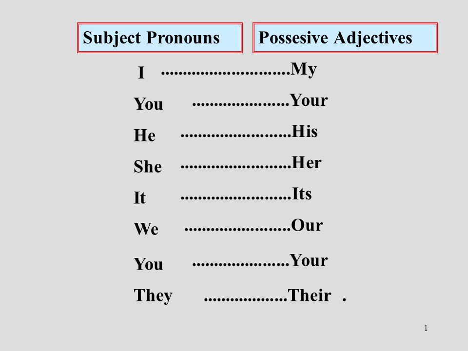1 Subject PronounsPossesive Adjectives I You He She It We You They My Your His Her Its Our Your Their.